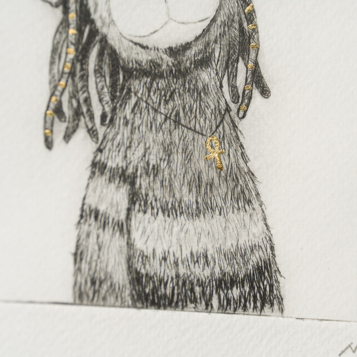 Rasta Bear XVIII