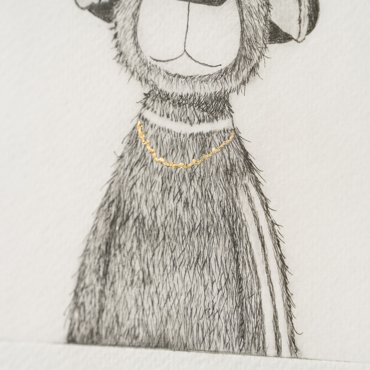 Indie Bear I
