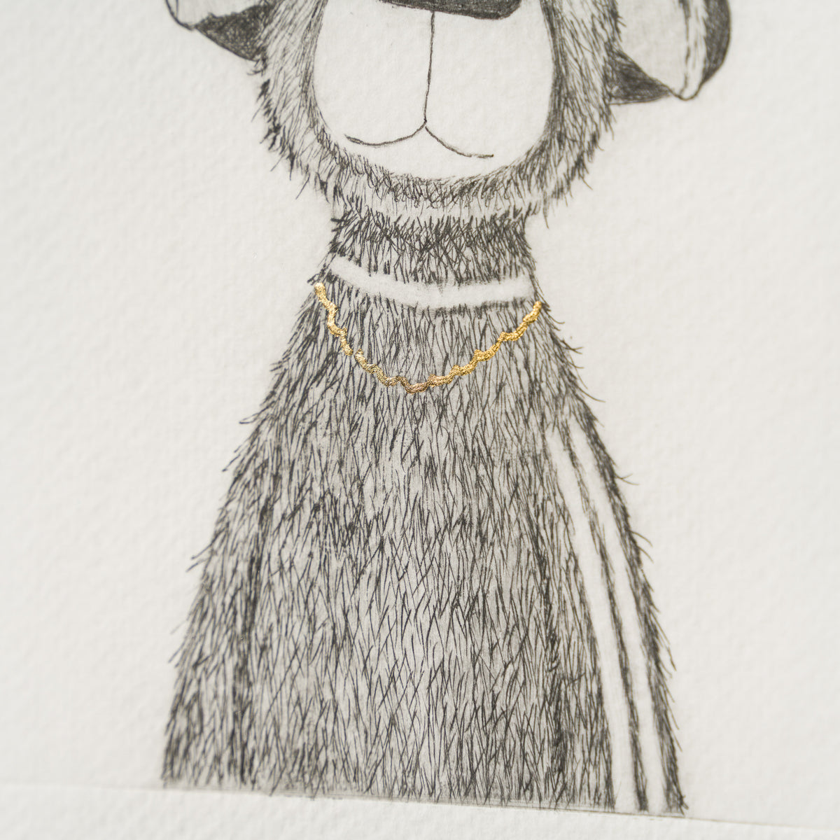 Indie Bear II