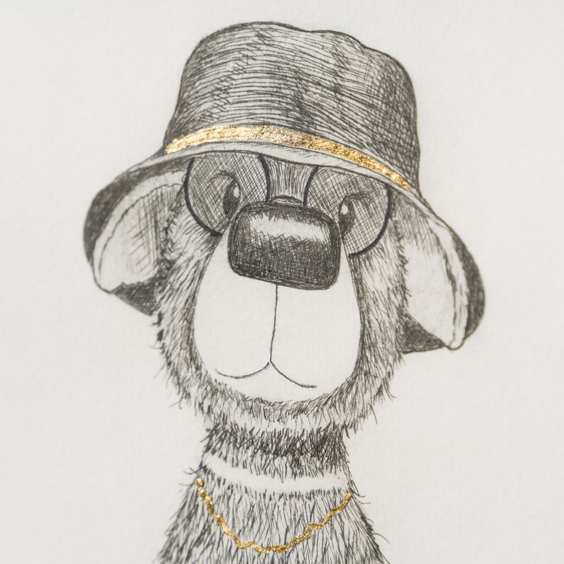 Indie Bear IV