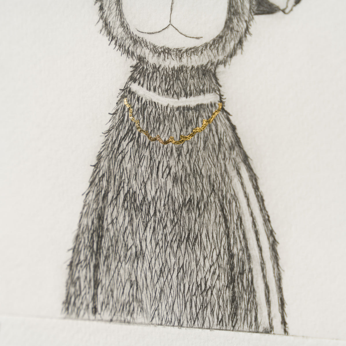 Indie Bear XIV