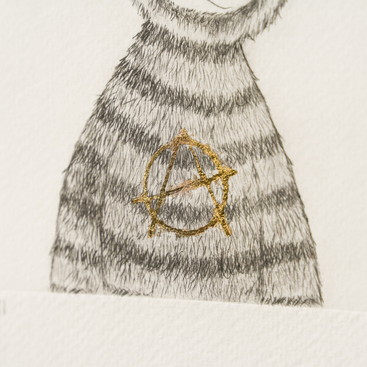 Anarchy Bear XVII