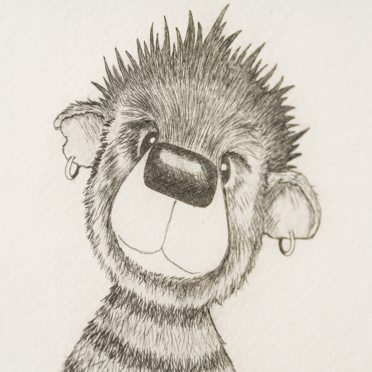 Anarchy Bear XVII