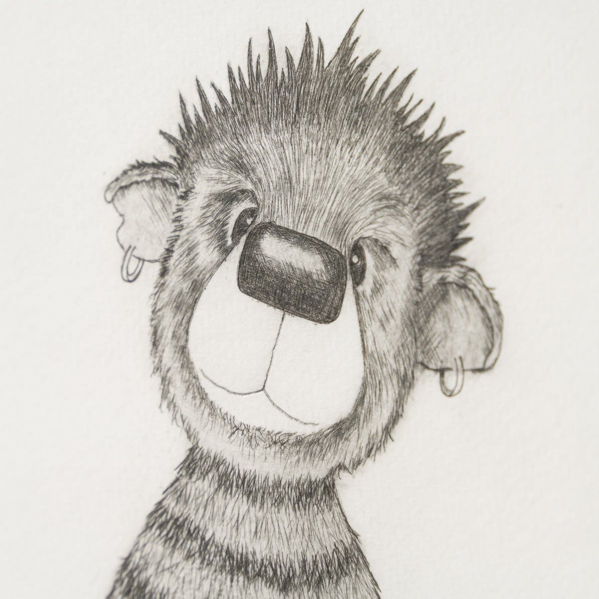 Anarchy Bear IV