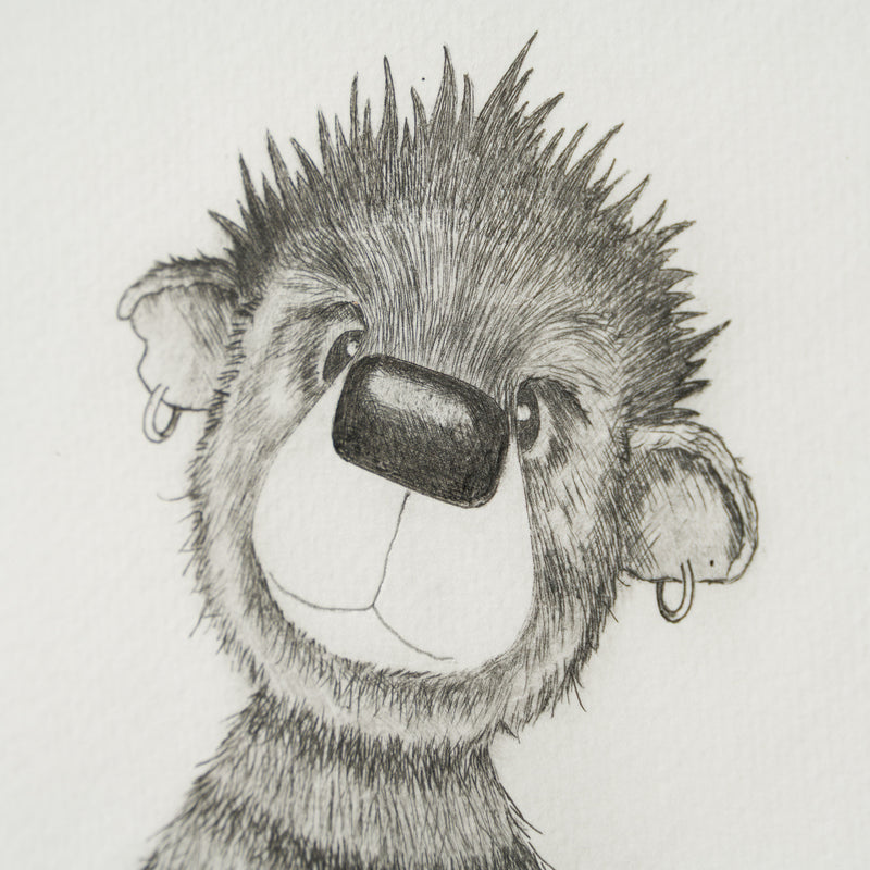 Anarchy Bear VI