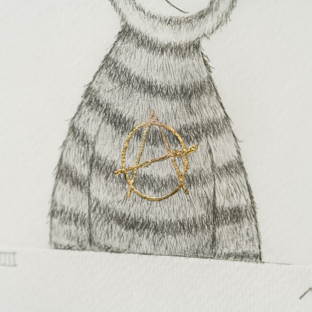 Anarchy Bear VIII