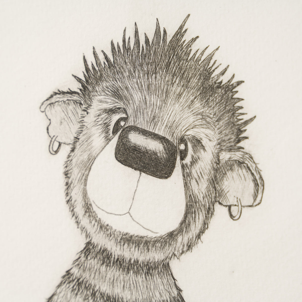 Anarchy Bear XII