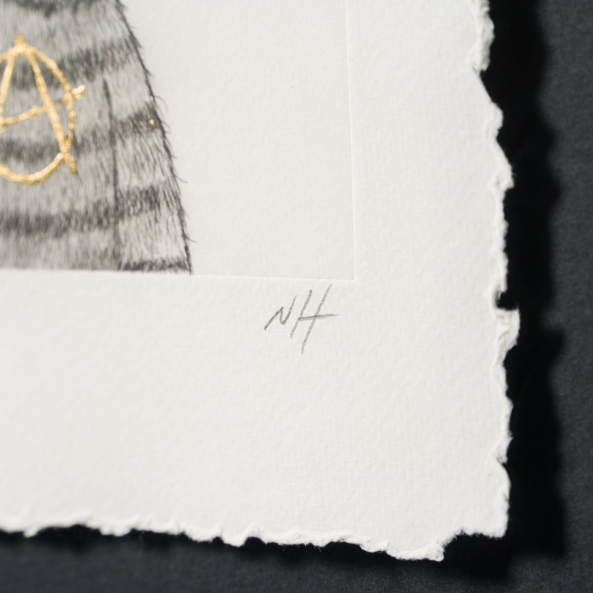 Anarchy Bear XIV