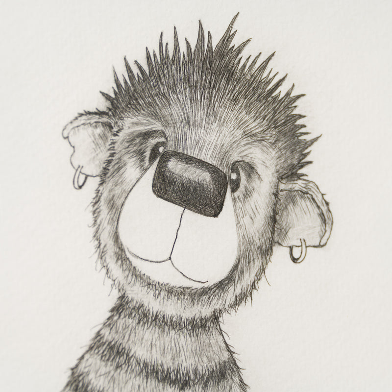 Anarchy Bear XIV