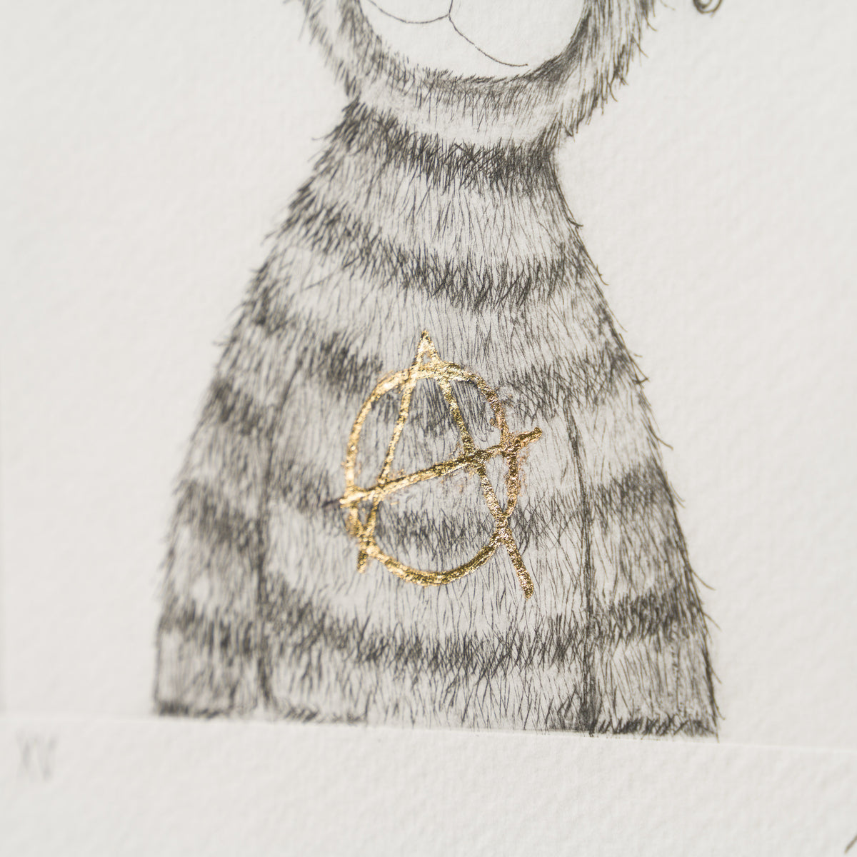 Anarchy Bear XV