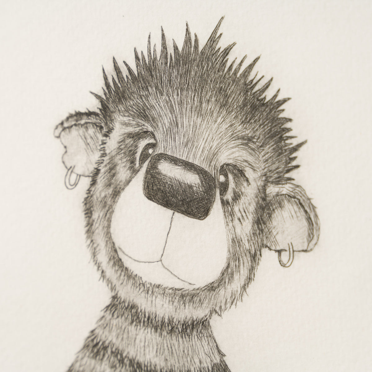 Anarchy Bear XVI