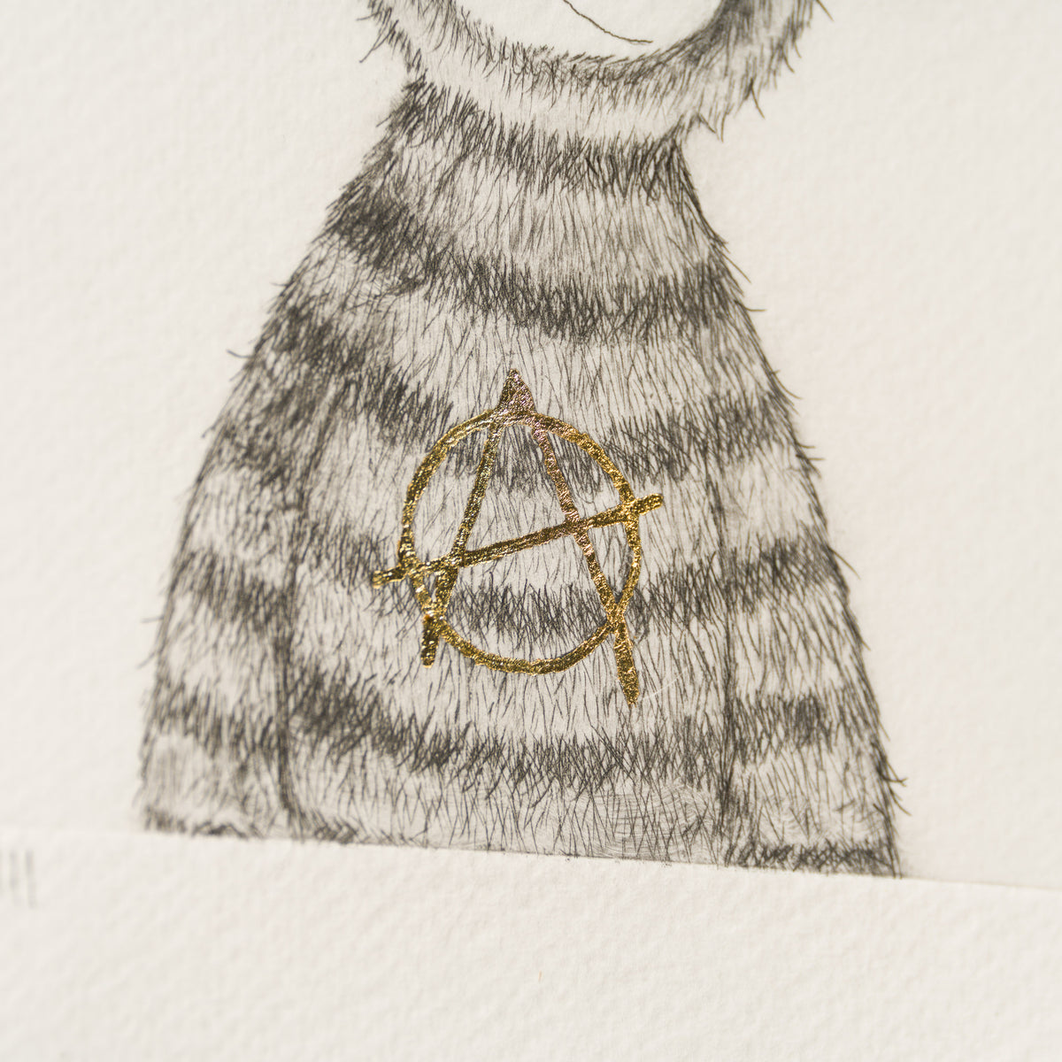 Anarchy Bear XVIII