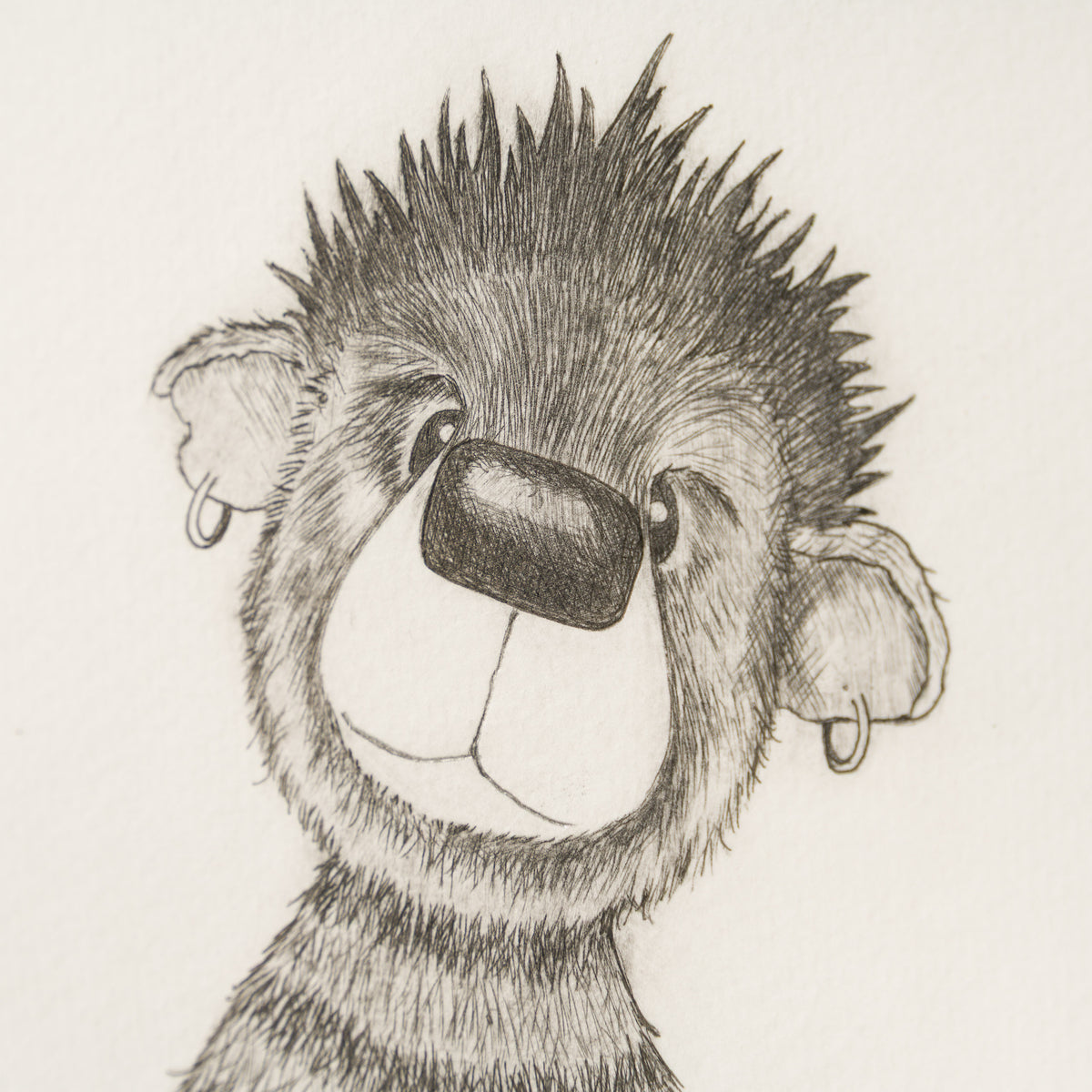 Anarchy Bear XIX