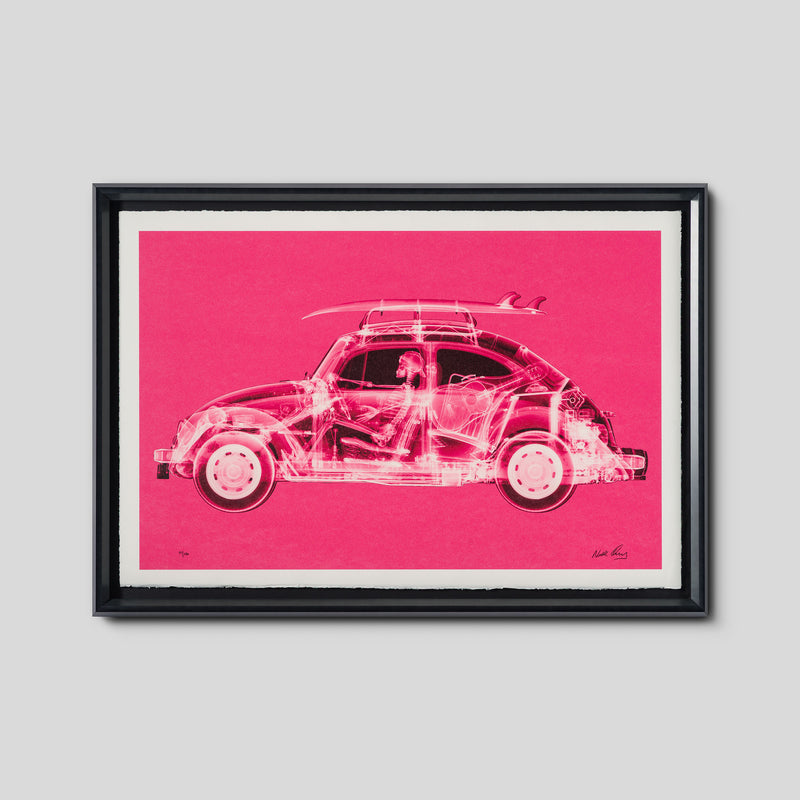 California Bug (Standard Pink)