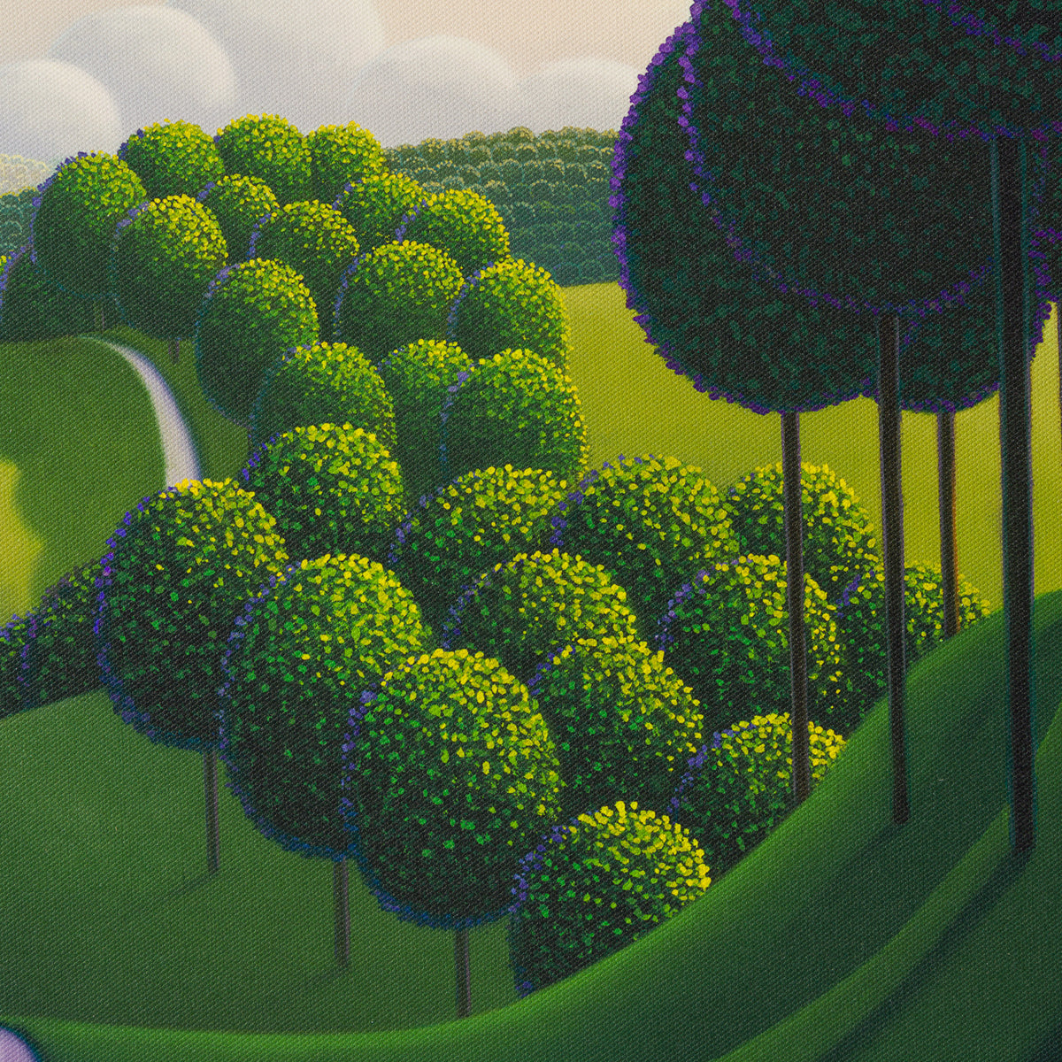 The Tree Lined Pathway