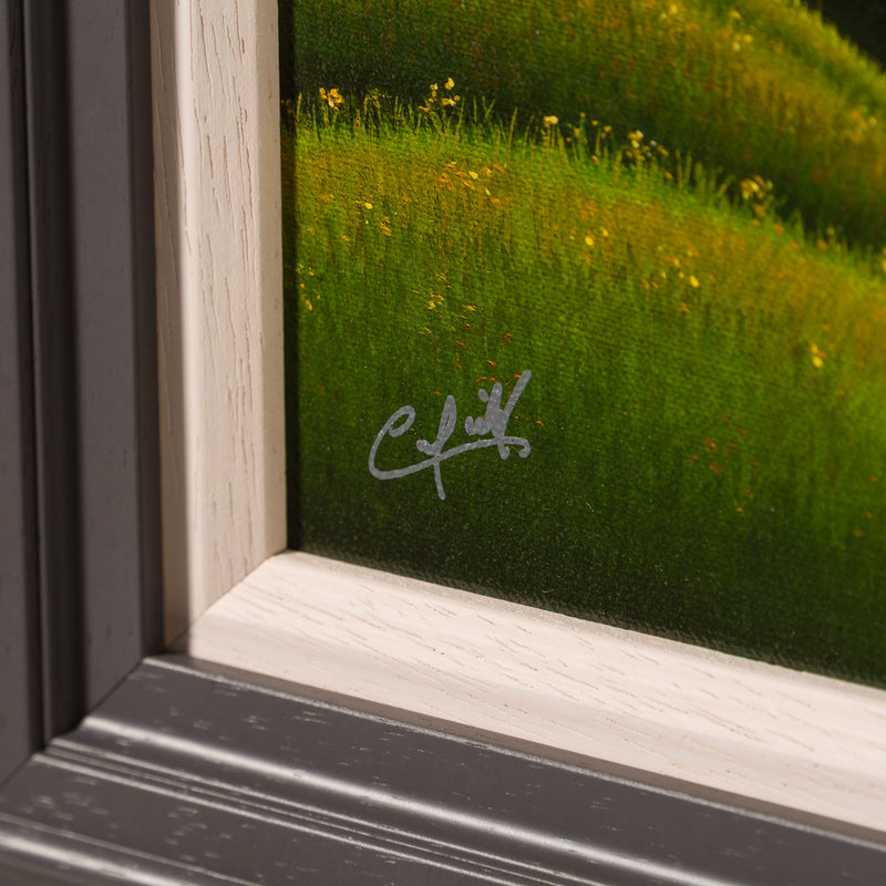 Summer 2026 | Framed Set of Five