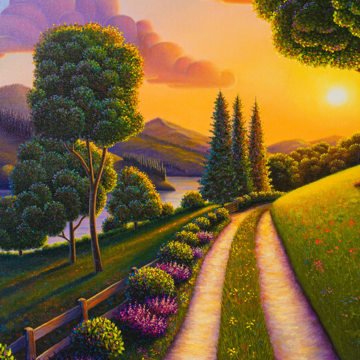 The Luminous Path