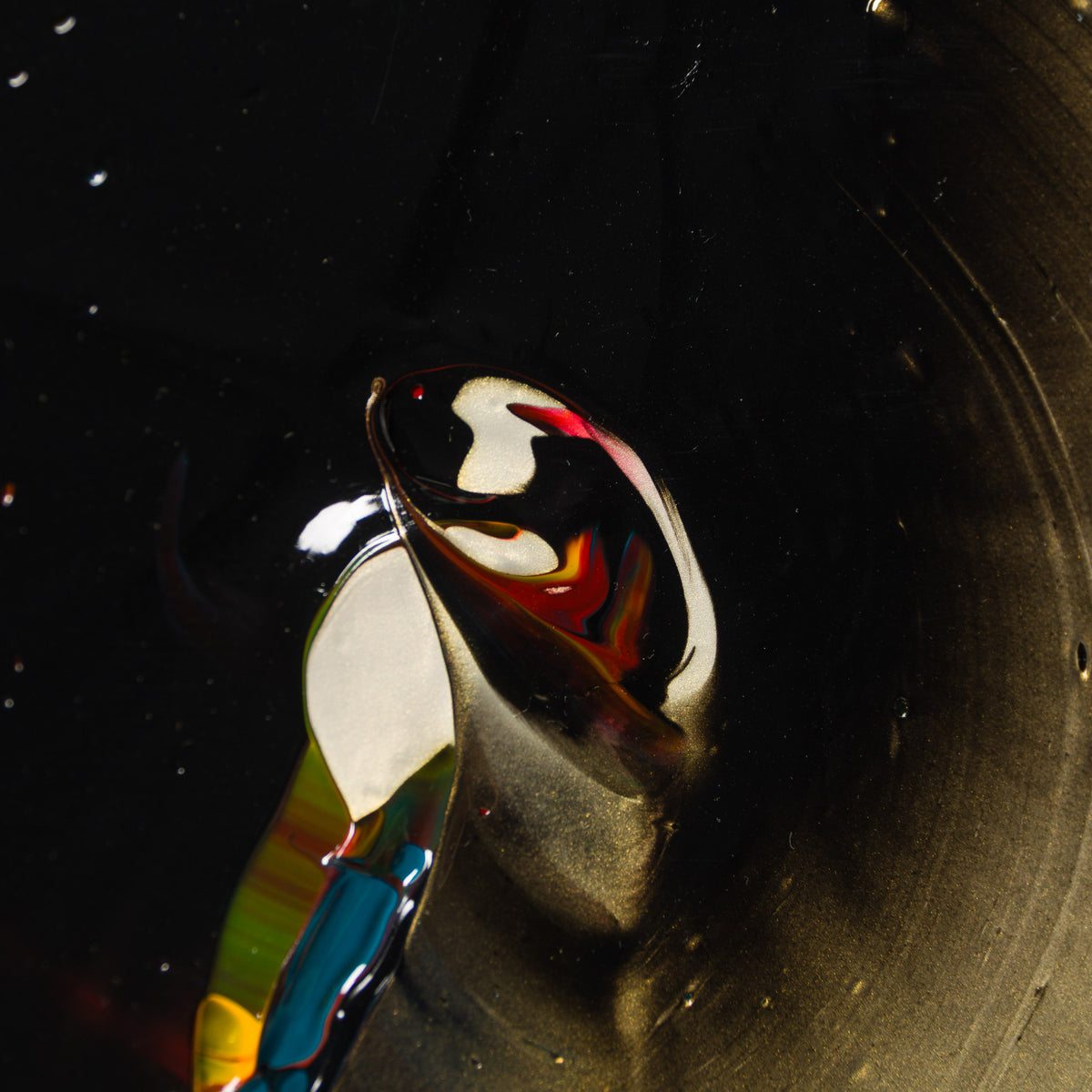 The Macules Of Perception Inspiration