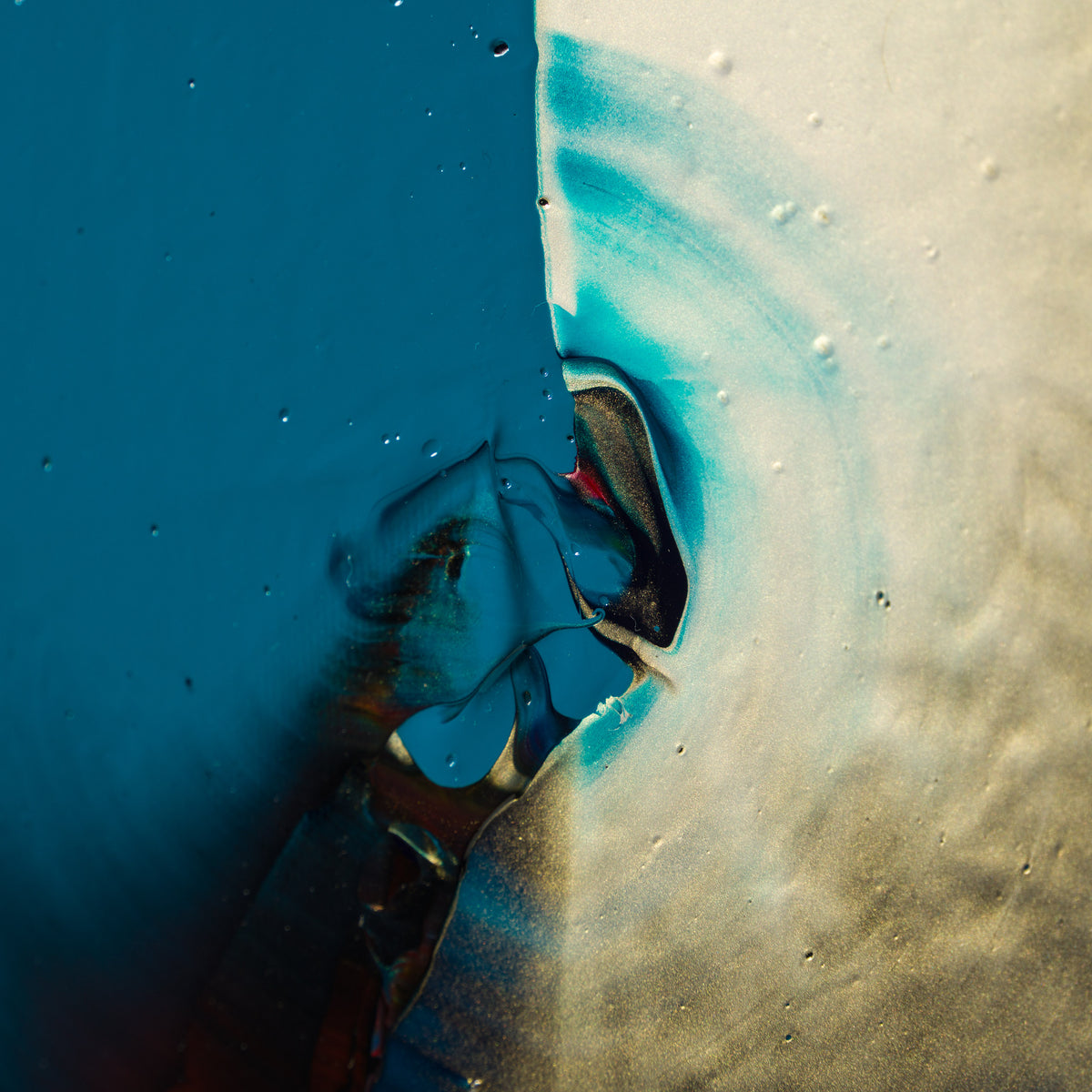 The Fantastic Four (Compassion) 2026