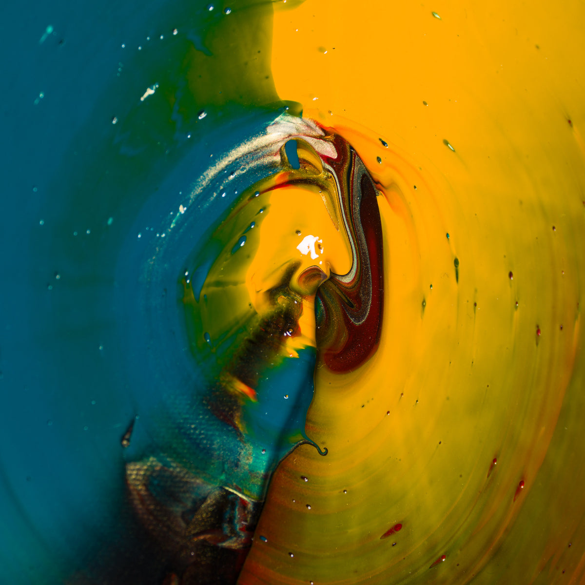 The Spiral - Water Y sgwirl - Dwr - 2026