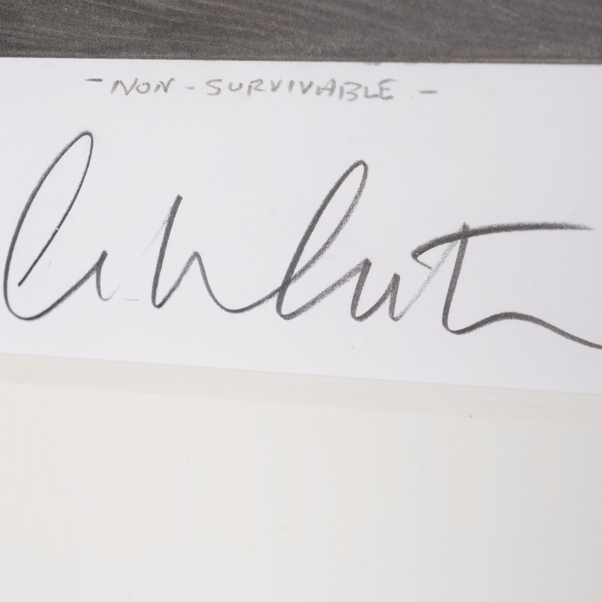 Non Survivable | Hand-signed by William Shatner