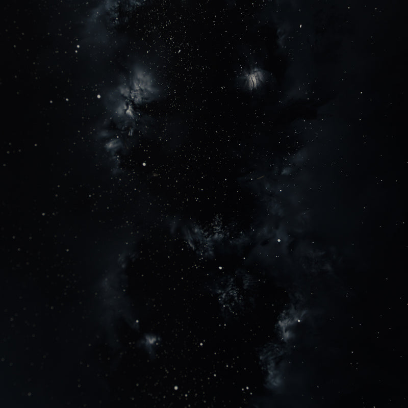 Where Silence Gathers