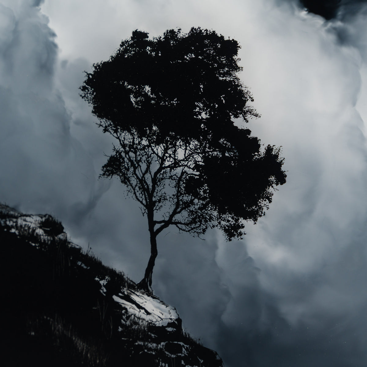 Between Earth & Sky