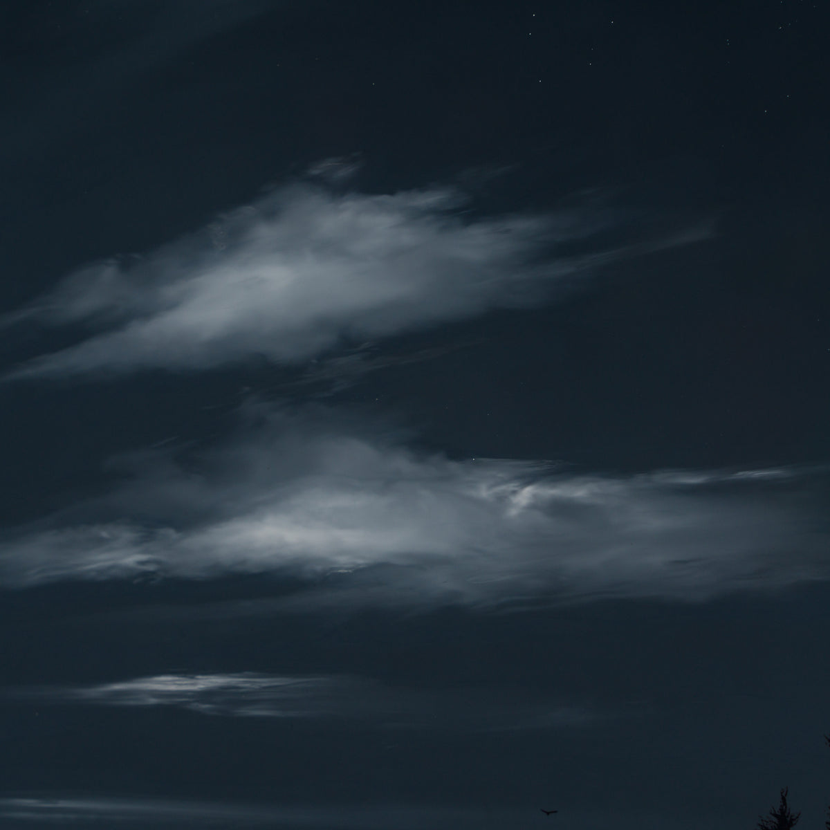 Beyond The Horizon (19)