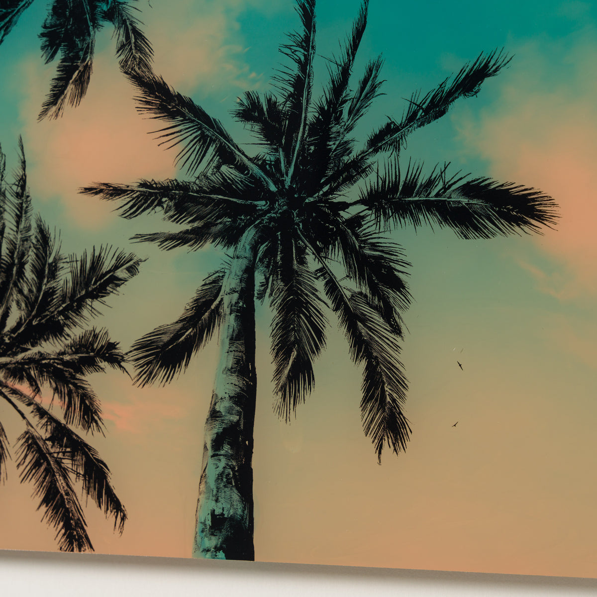 A Pause In Paradise XVI