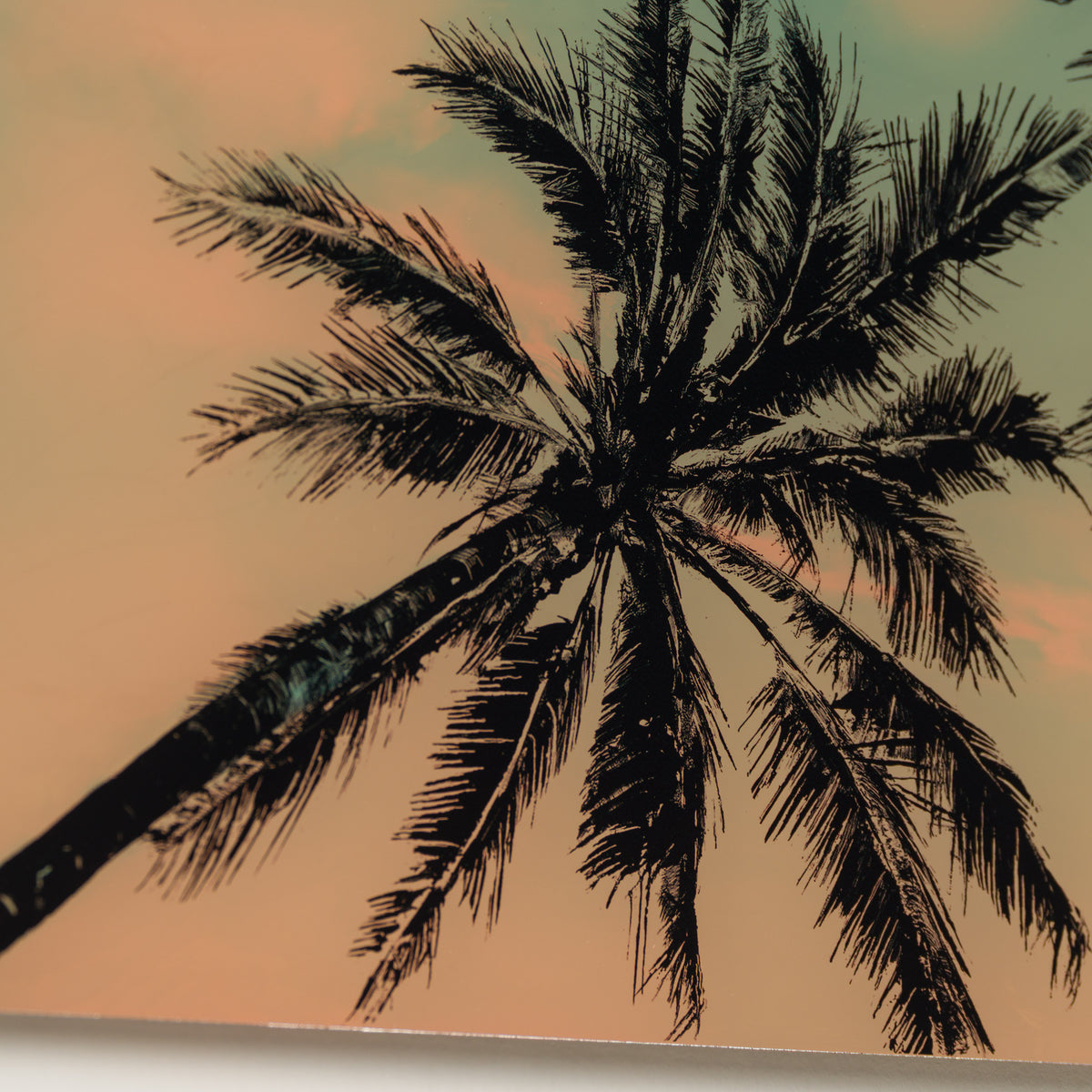A Pause In Paradise XVI