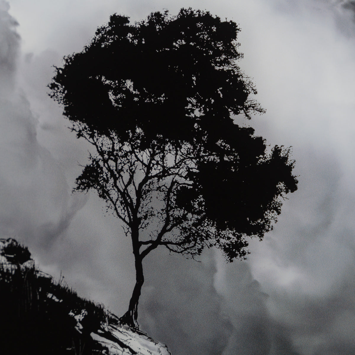 Between Earth and Sky