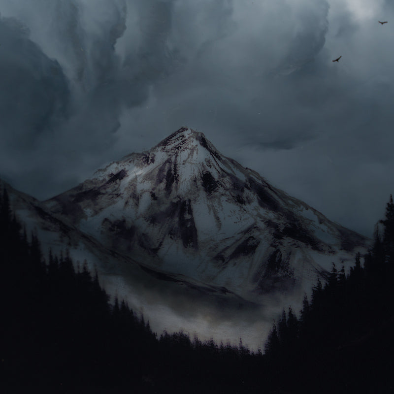 Beyond The Horizon V