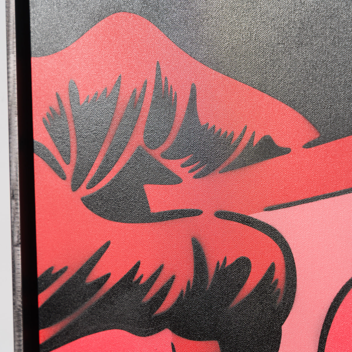 Between The Capes | Exposed Photo | Red