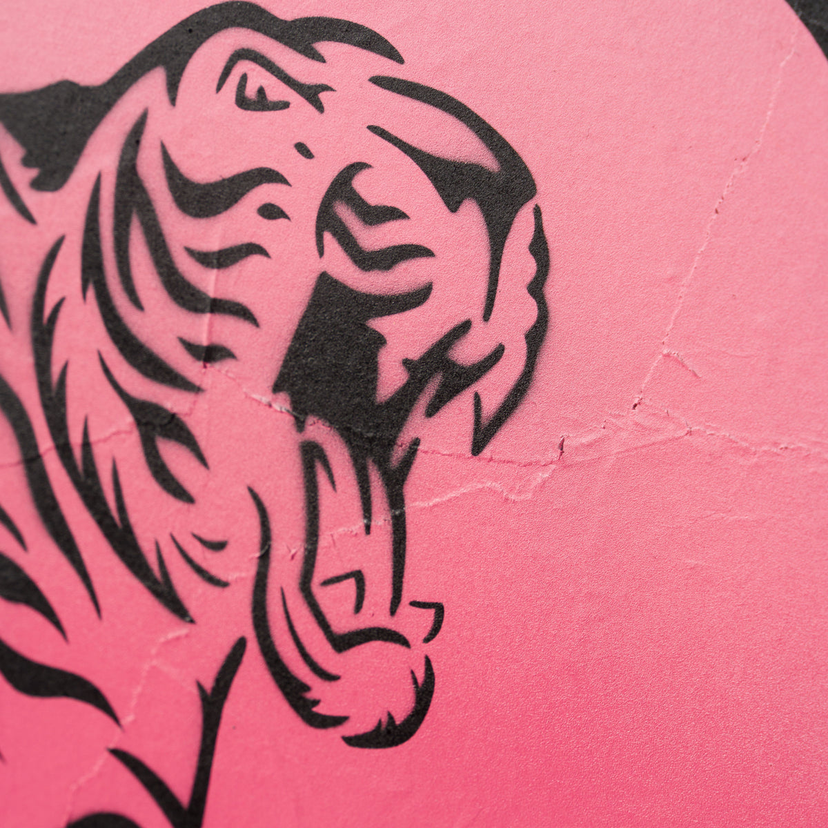 Tiger Tattoo Black Billboard Pink 2016