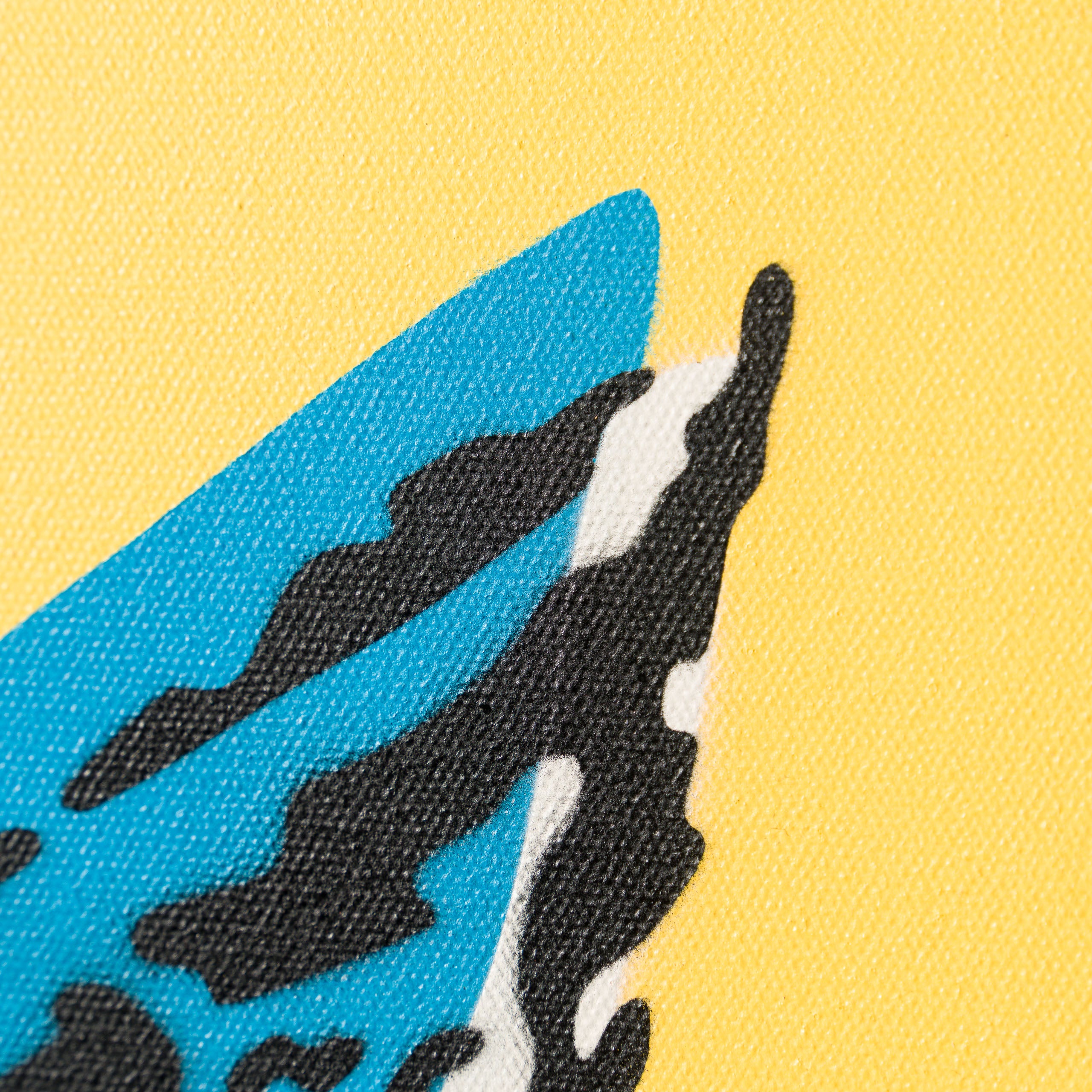 Four Eye Cat | Yellow/Blue