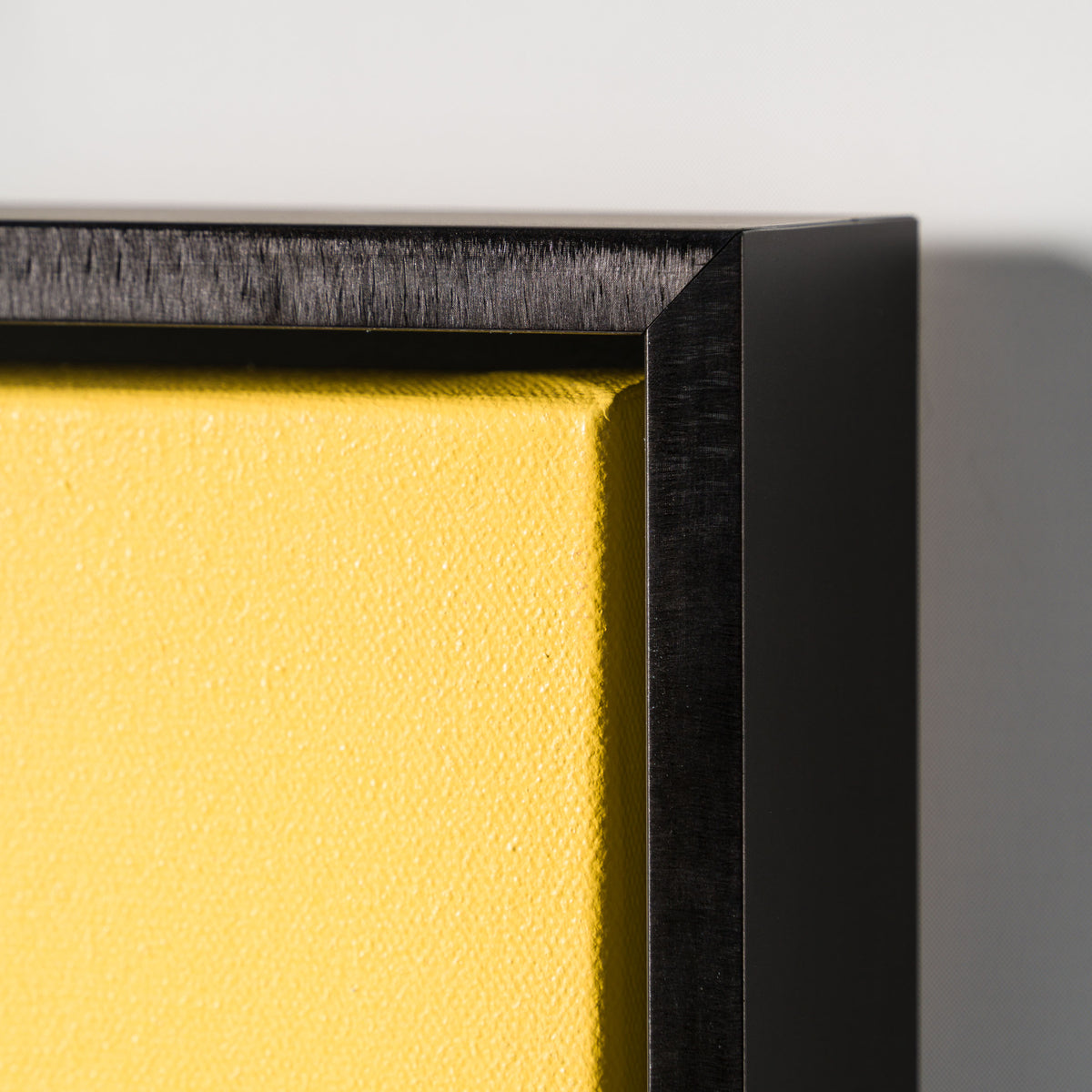 Four Eye Cat | Yellow/Blue