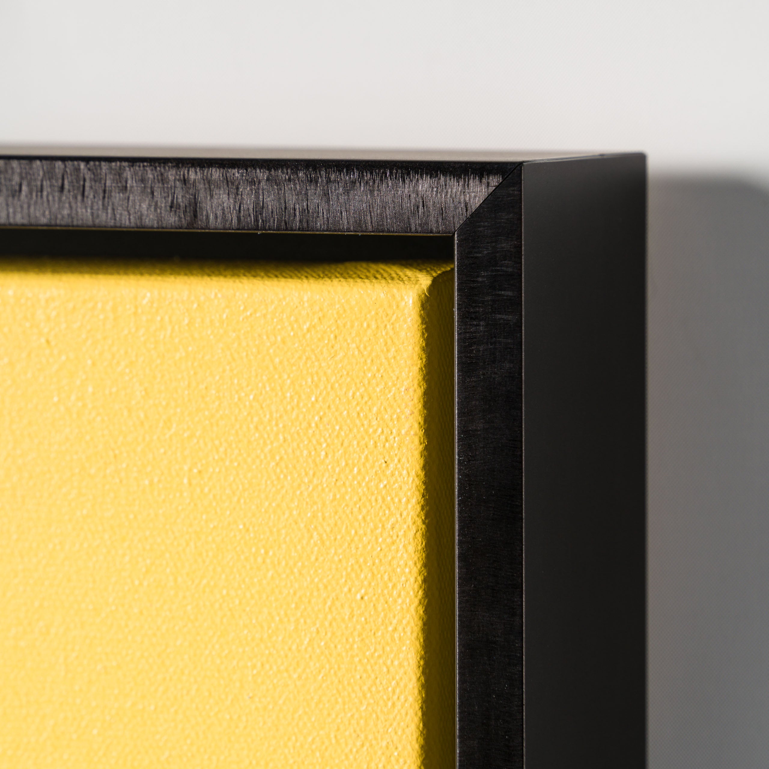 Four Eye Cat | Yellow/Blue