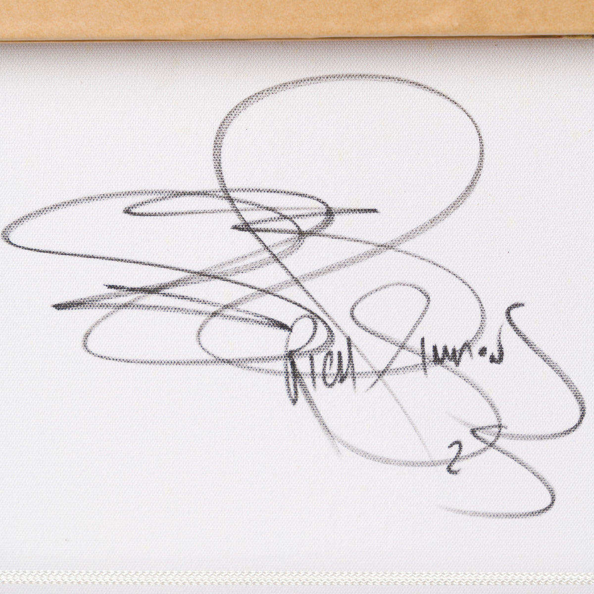 Four Eye Cat | Yellow/Blue