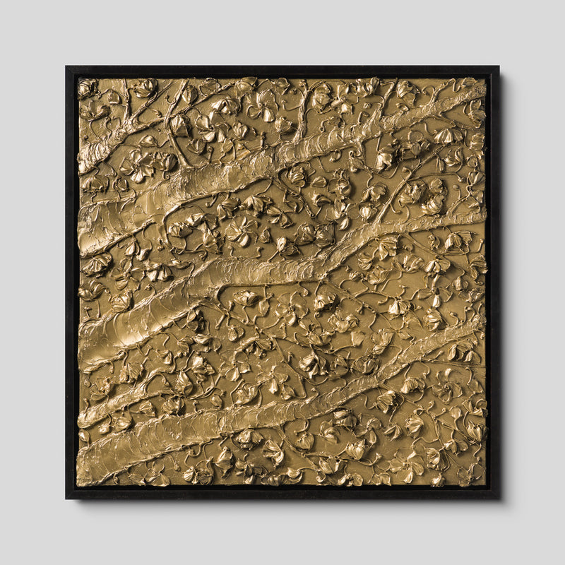 Inhabiting The Light