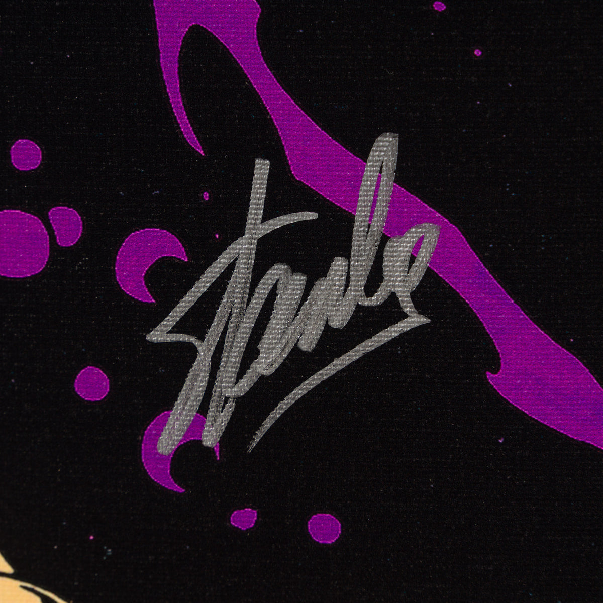 The Silver Surfer #4 - Boxed Canvas Edition