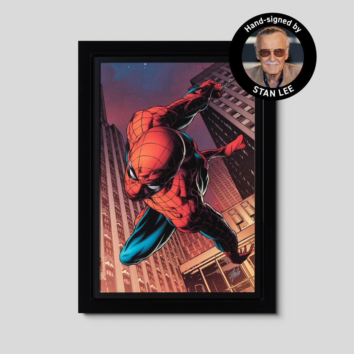 Amazing Spider-Man #641 | Deluxe Edition | Hand-signed by Stan Lee