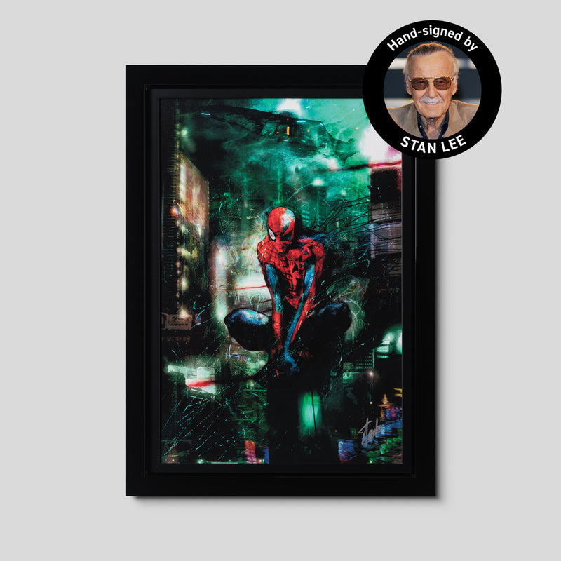 Timestorm | Deluxe Edition | Hand-signed by Stan Lee