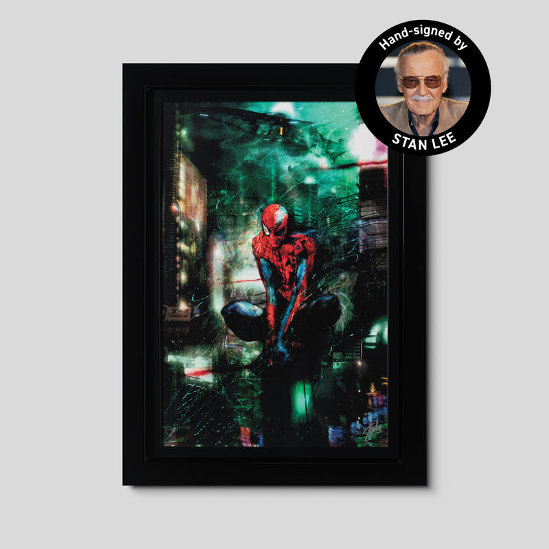 Timestorm | Collector's Edition | Hand-signed by Stan Lee
