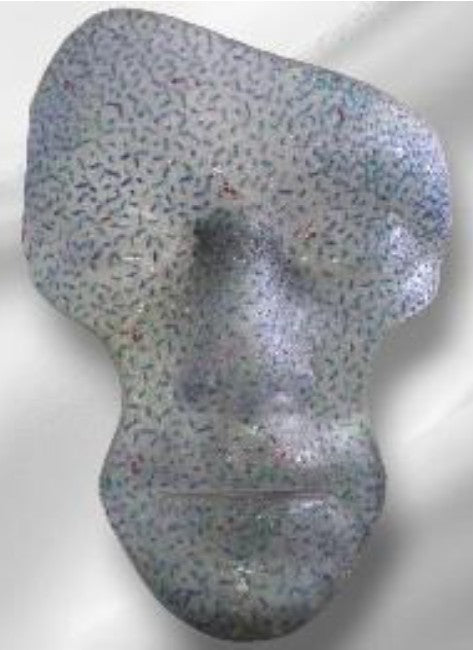 Visage