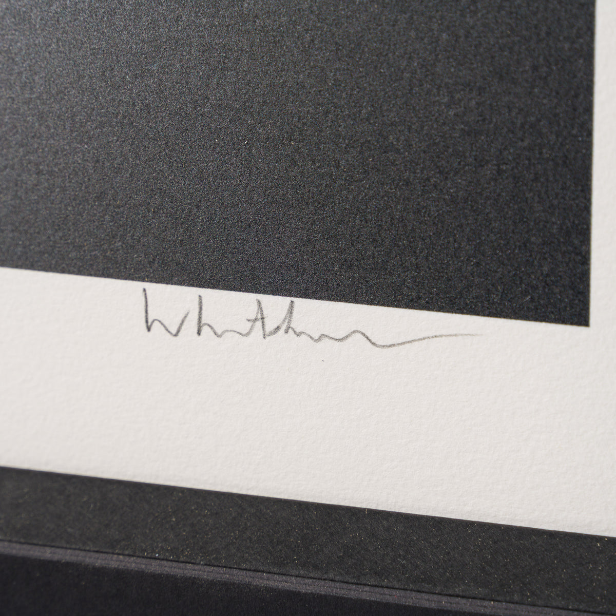 Gone 2026 | Medium | Framed Set of Four