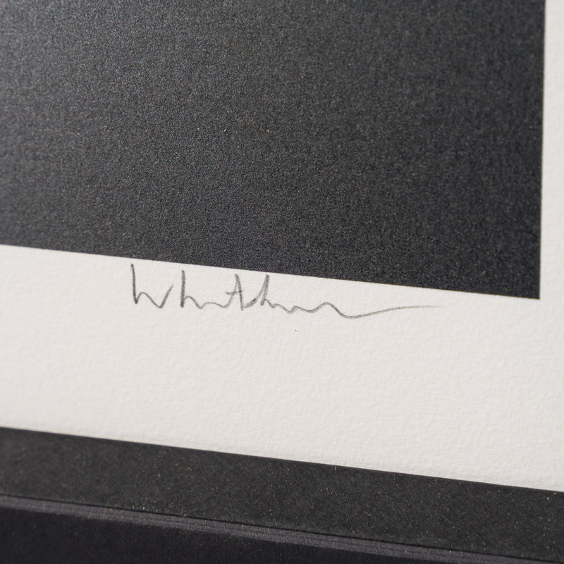 Gone 2026 | Medium | Framed Set of Four