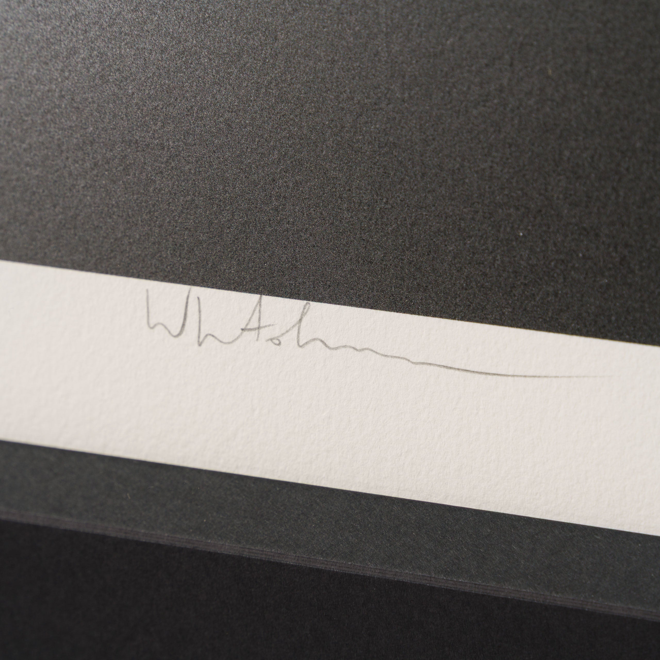 Gone Autumn 2025 | Framed Set of Two