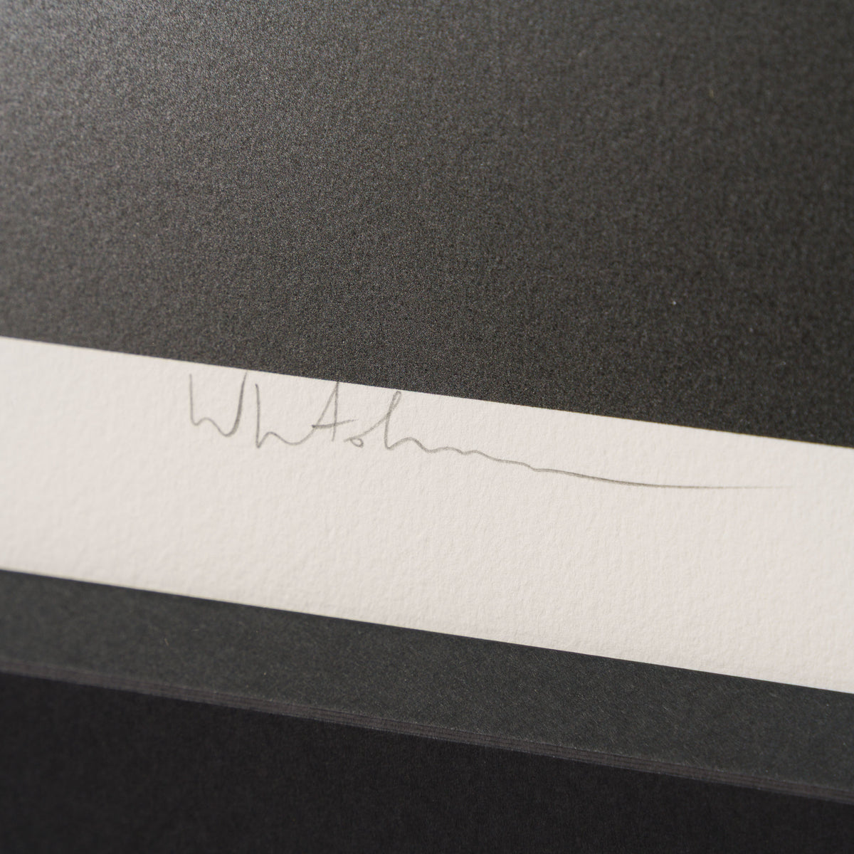 Gone Autumn 2025 | Framed Set of Two