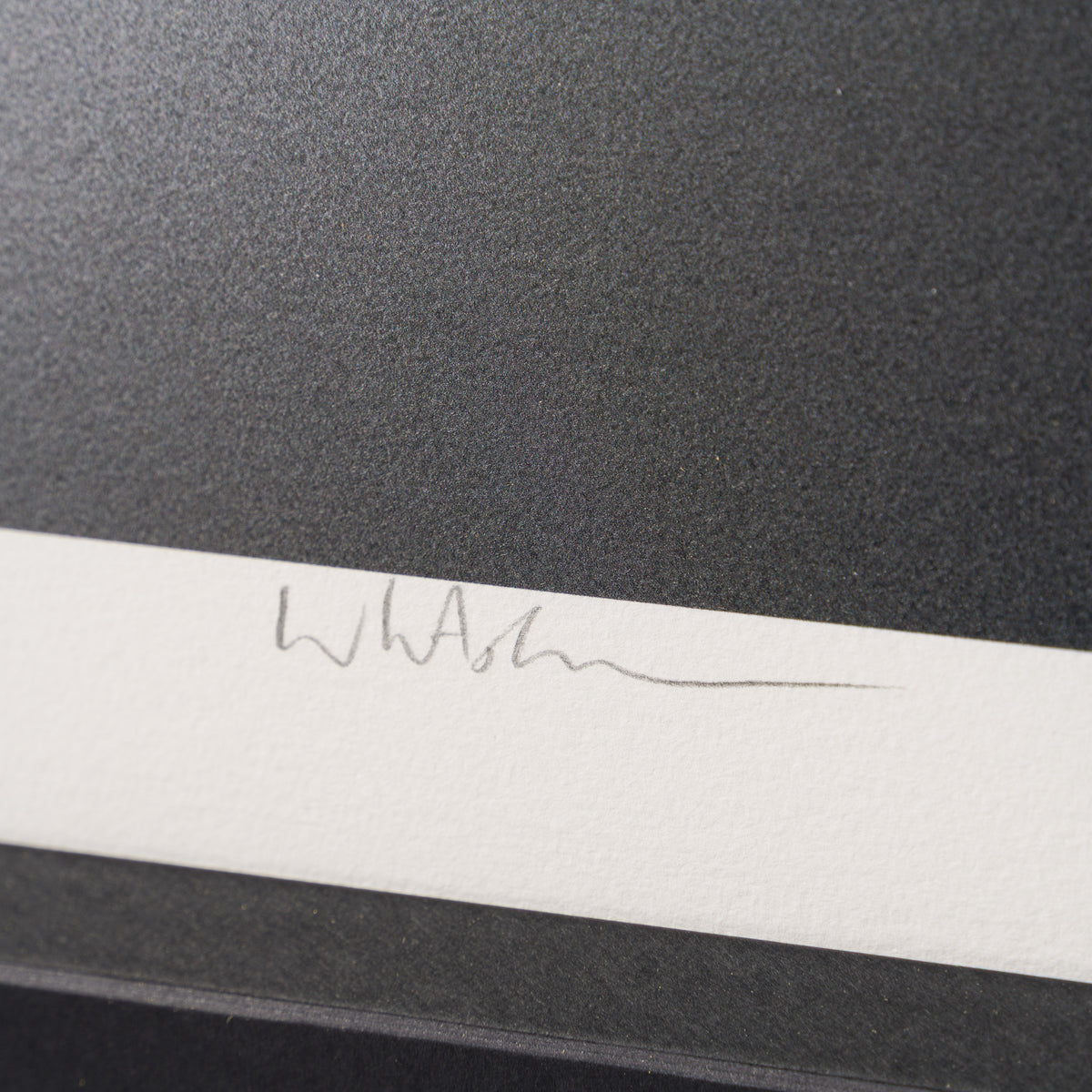 Gone, When The Wind Changes | Medium