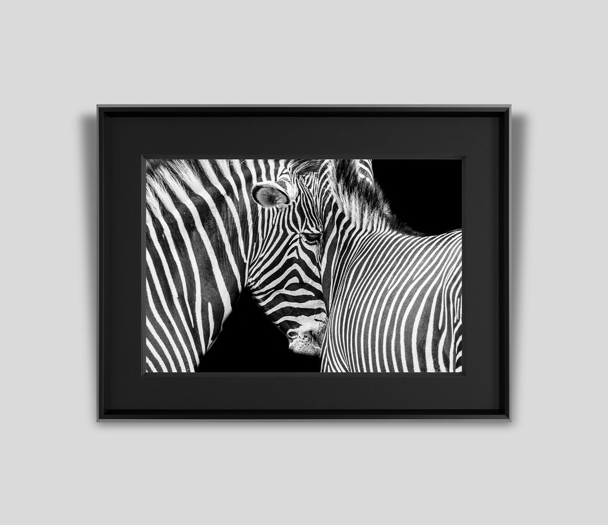 abe against stripes pi 2021 09 02T13 24 53